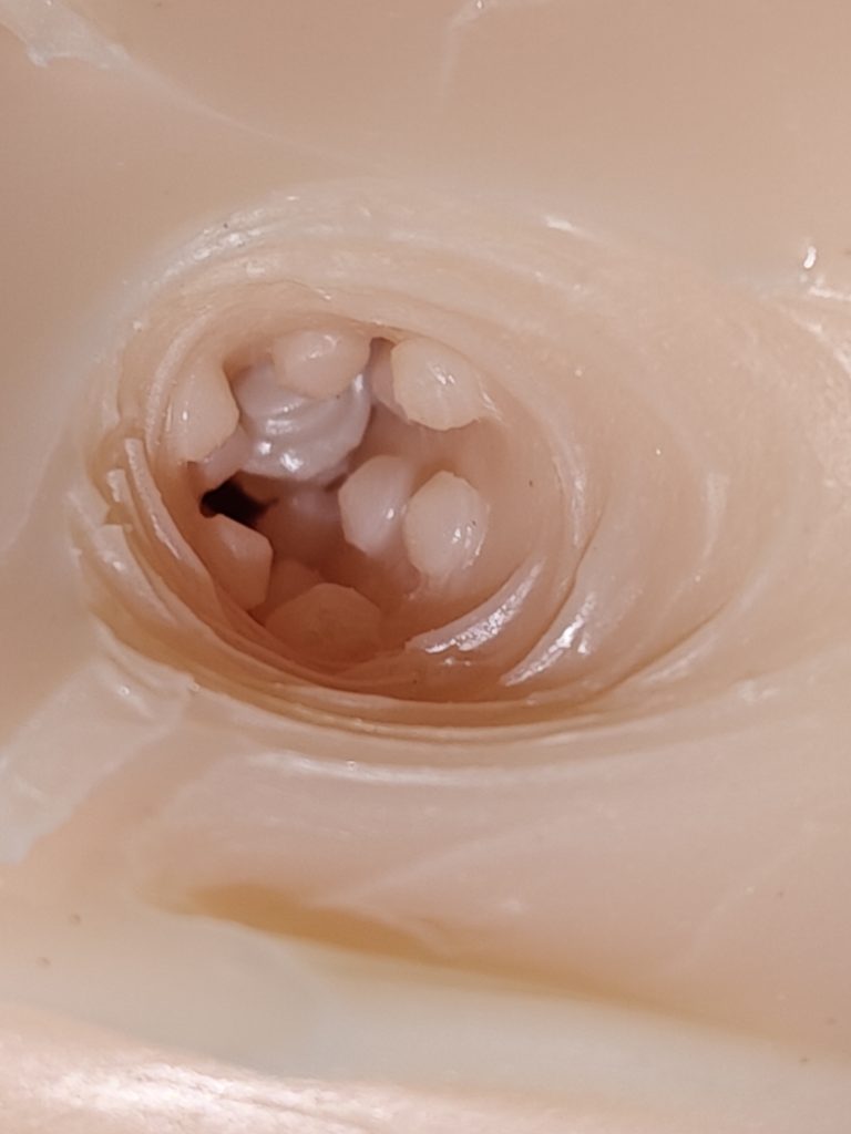 新手进阶怎么选?蜜壶放课生月冈唯:450克小型飞机杯的紧致包裹实测5 IMG_20260523_200825
