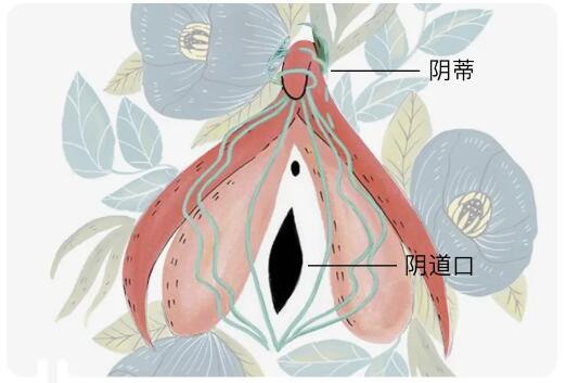 情趣玩具测评:用它测试你到底是不是性冷淡4