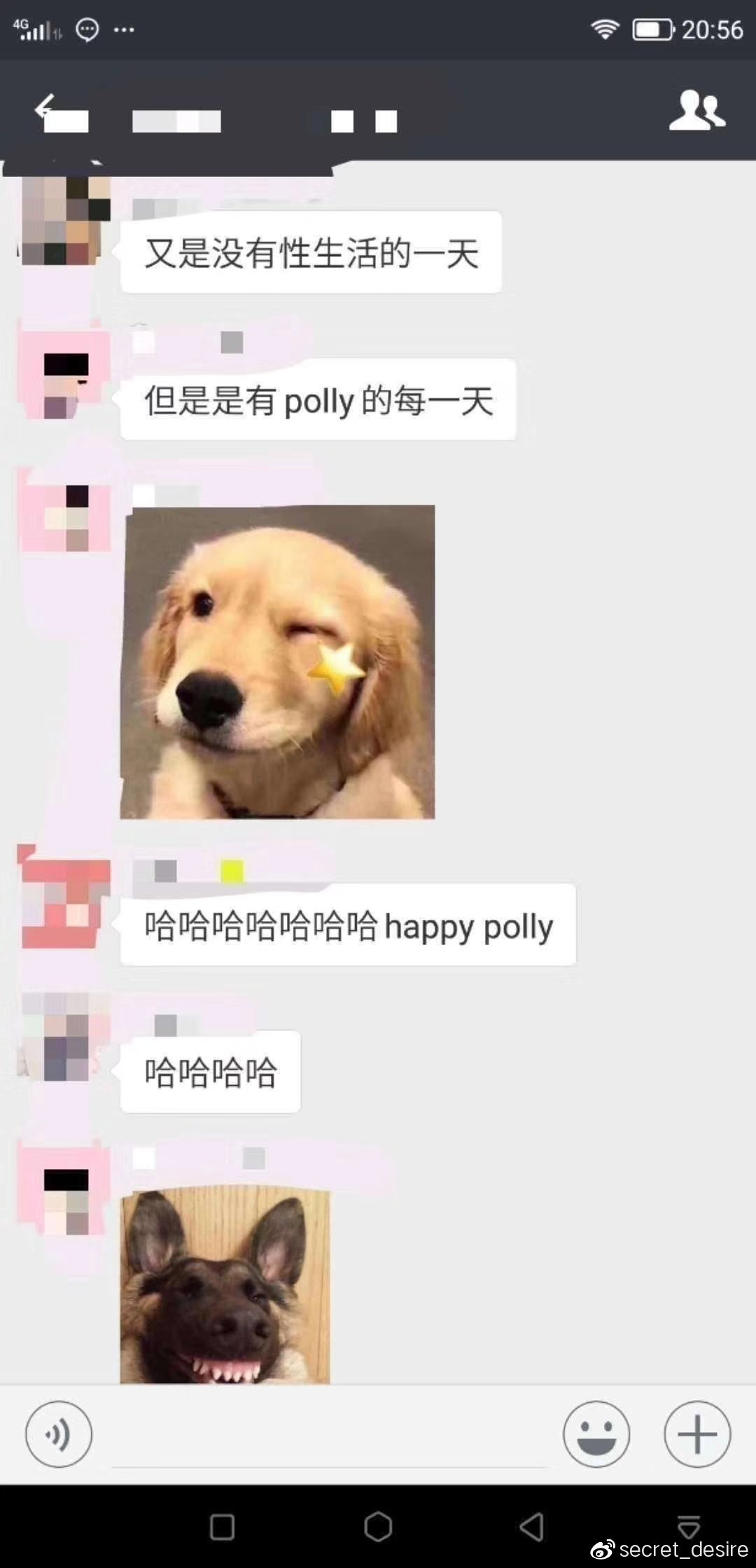 人手一根的polly到底是何方神圣?-飞机杯推荐