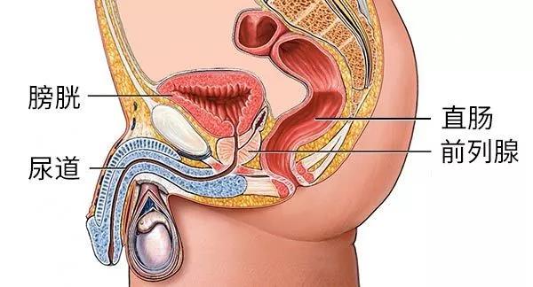 后挺刺激：钢铁直男都难以抗拒的体验1