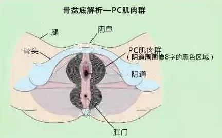 为了成你的“娇滴”女孩，你知道她有多努力吗？4